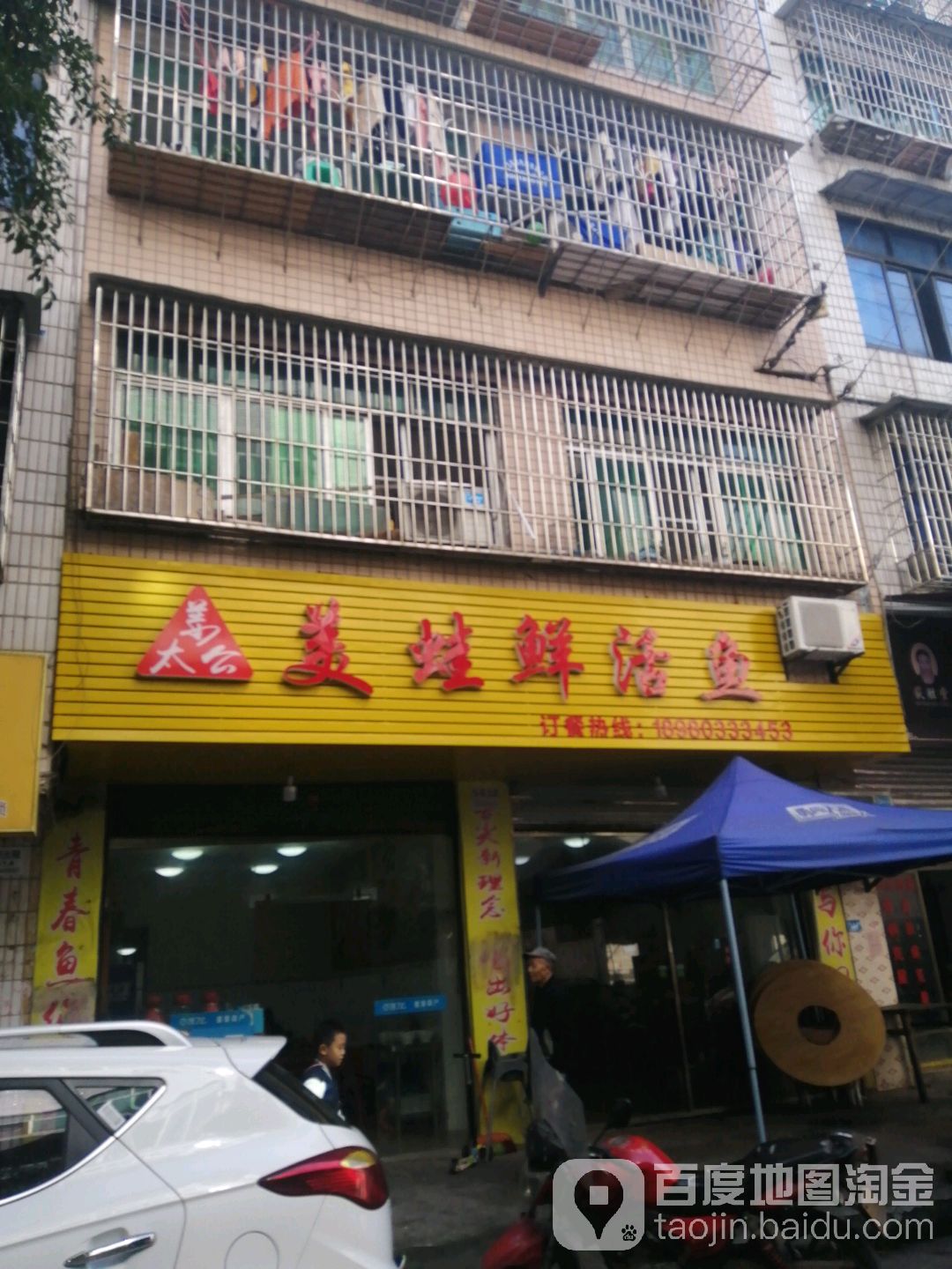 姜太公美蛙鲜活鱼