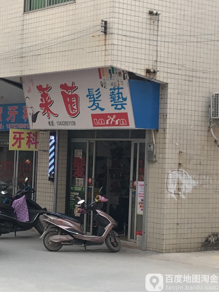 莱茵发艺