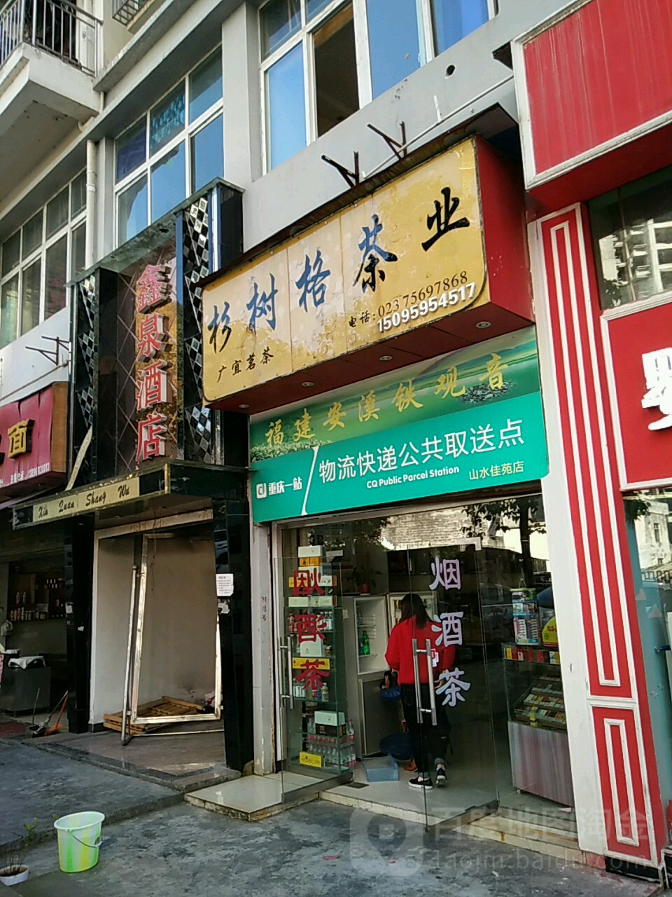 善树格茶业