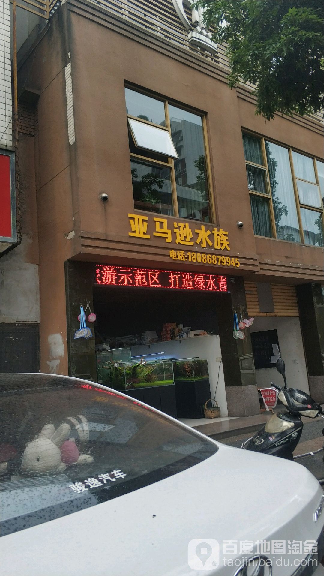 亚马逊水族(万年西路店)