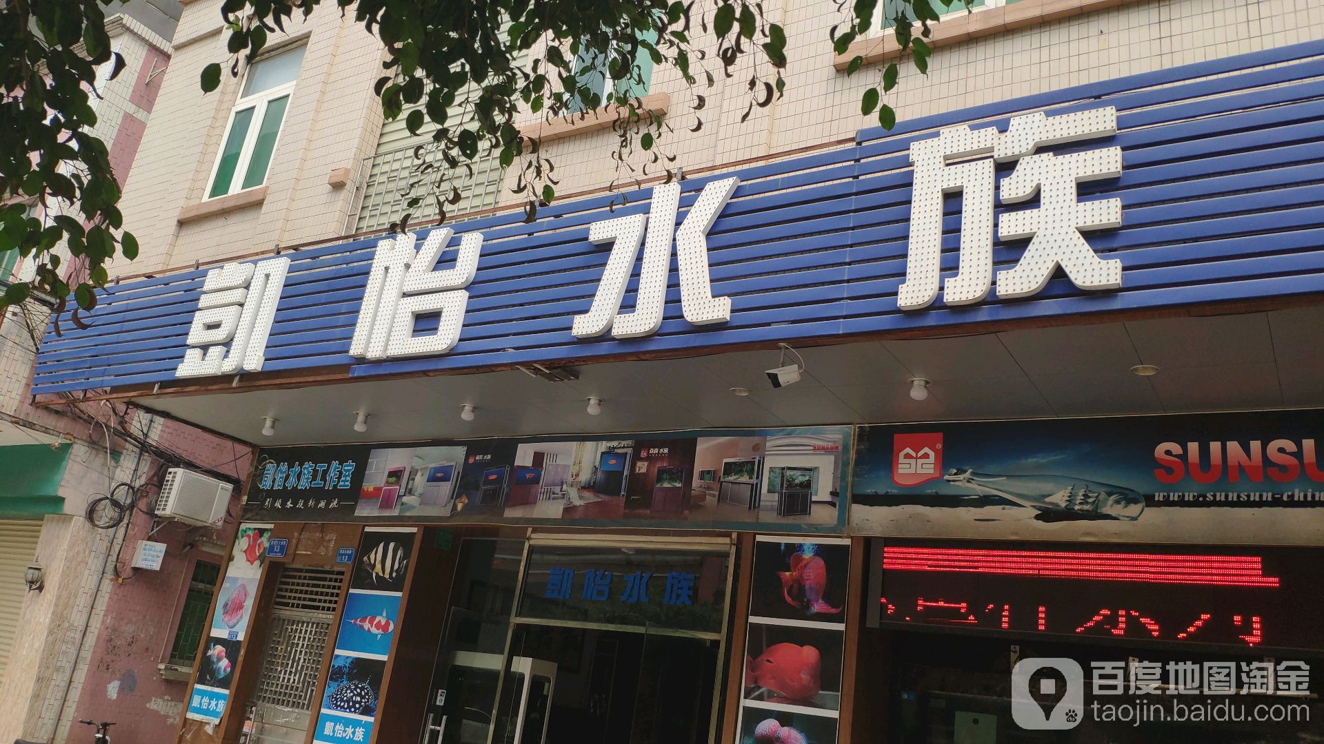 凯怡水族