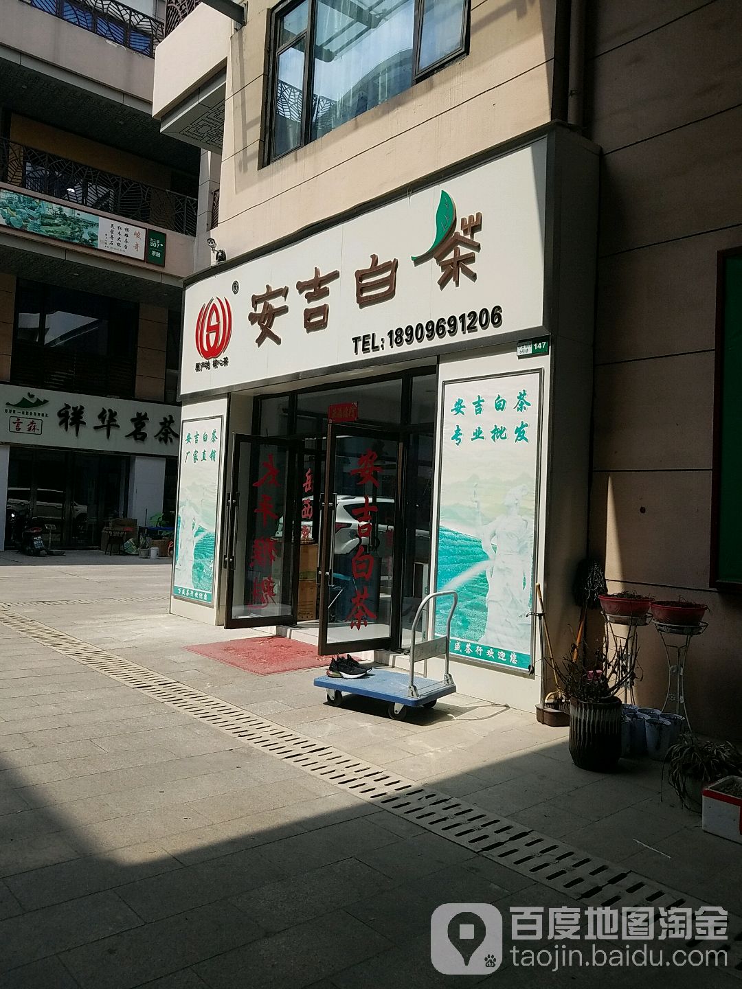 安吉白茶(包河大道店)