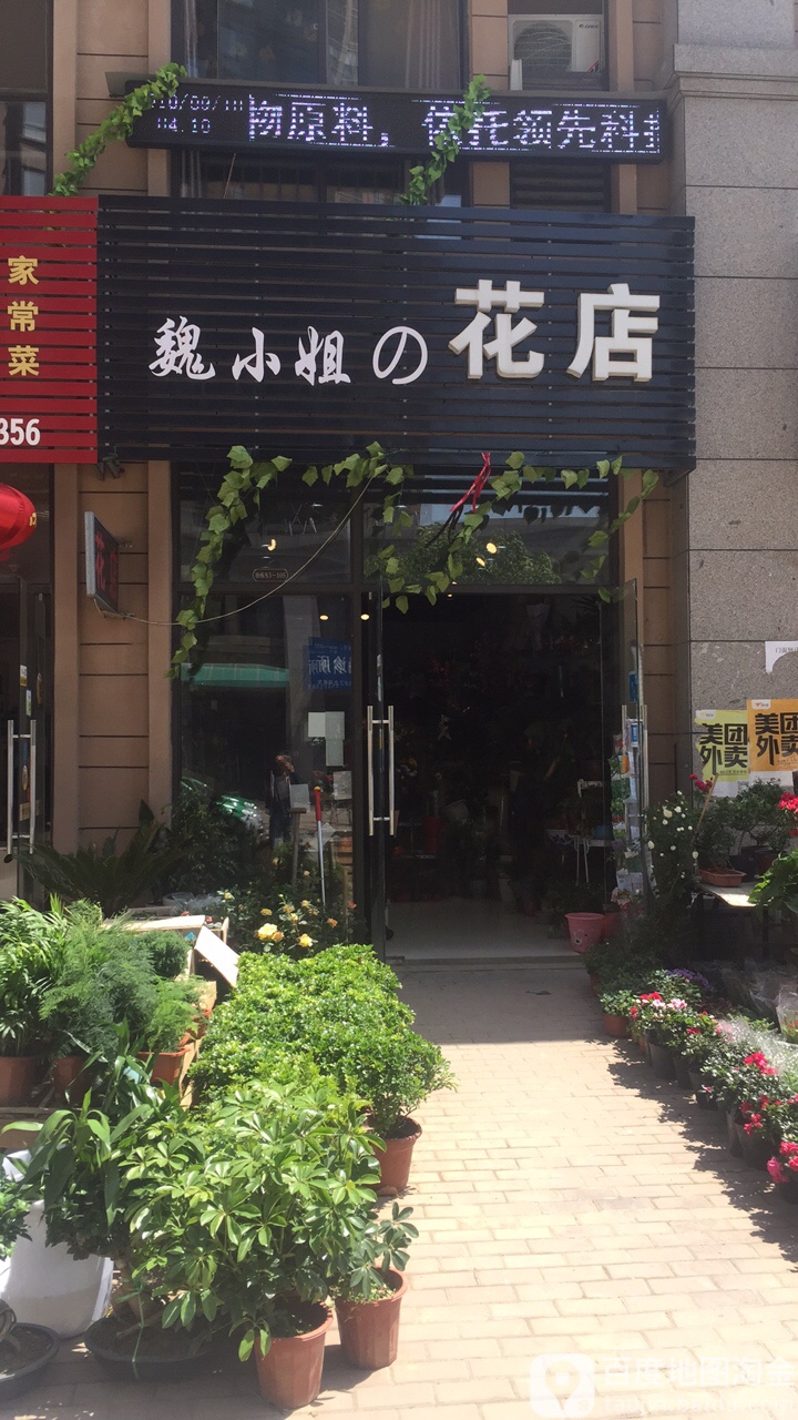 魏小姐的花