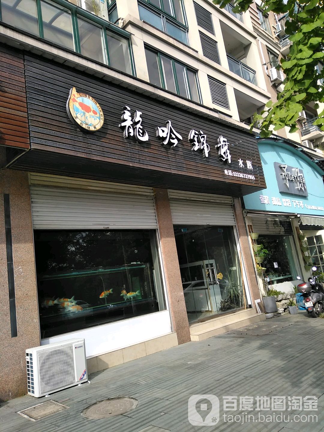 龙吟锦舞水族