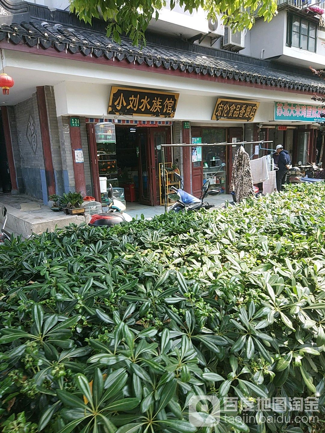 小刘水族馆