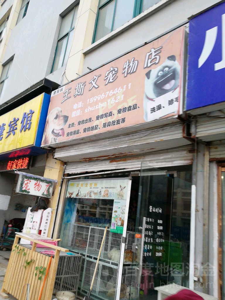 王斯文宠物店