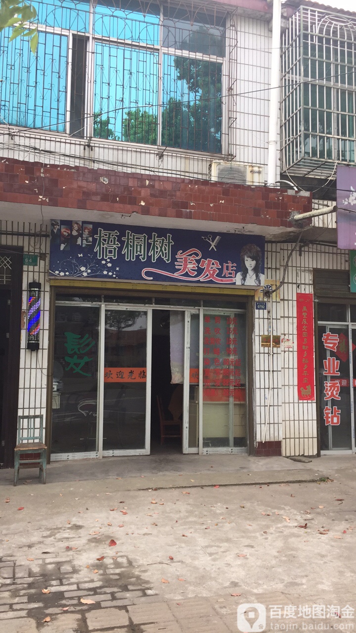 梧桐树美发店(君山大道店)