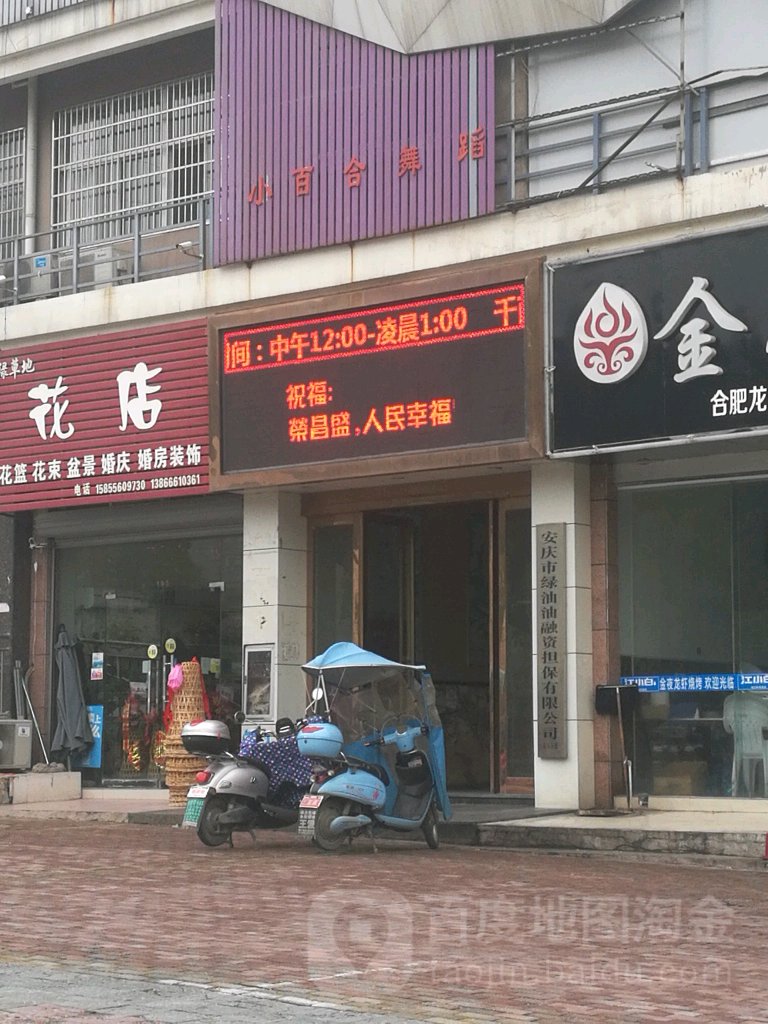 安慶市綠油油融資擔保有限公司