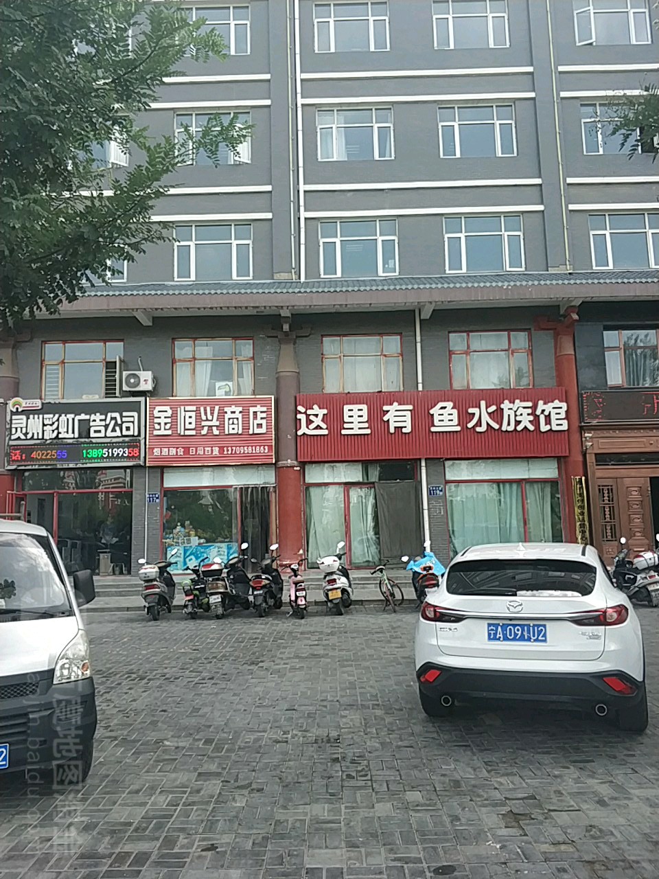 金恒星商店