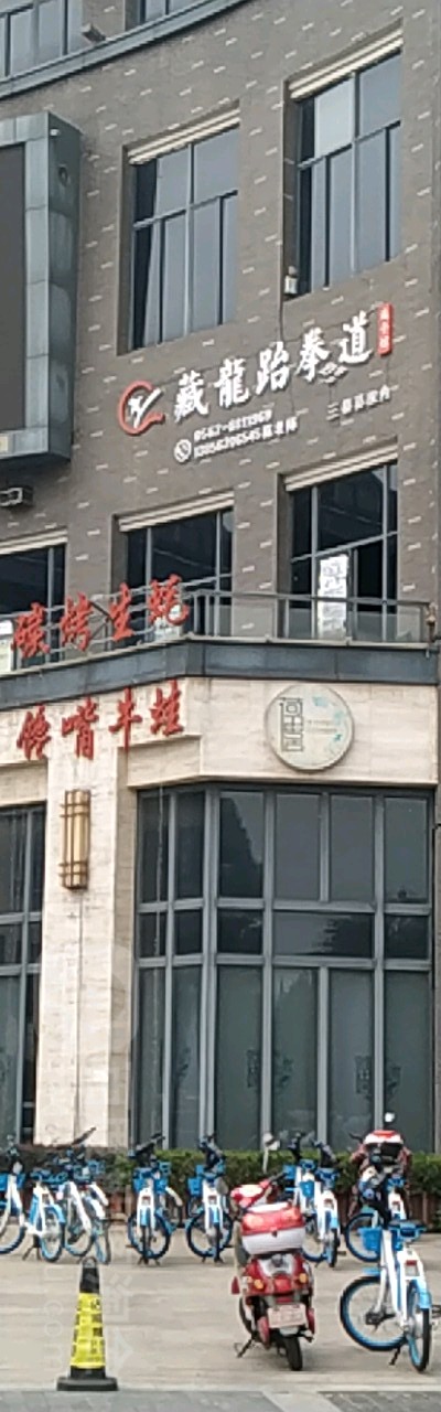 藏龙泰拳道(选手馆)