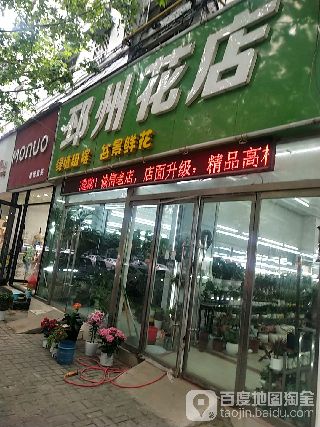 丽鲜花店