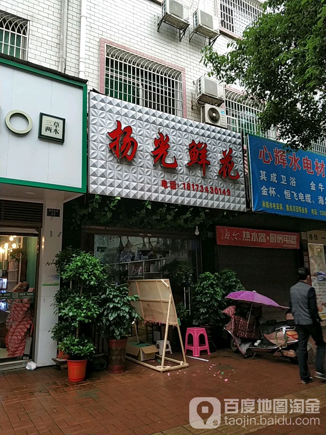 扬光鲜花