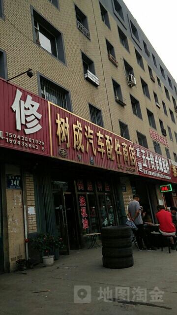 树成轮胎行