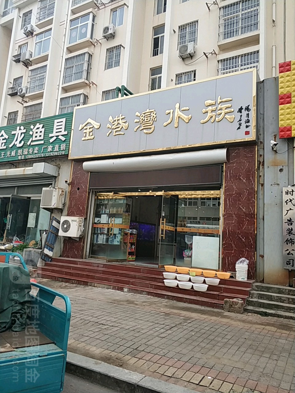 金港湾水族(福龙园小区店)