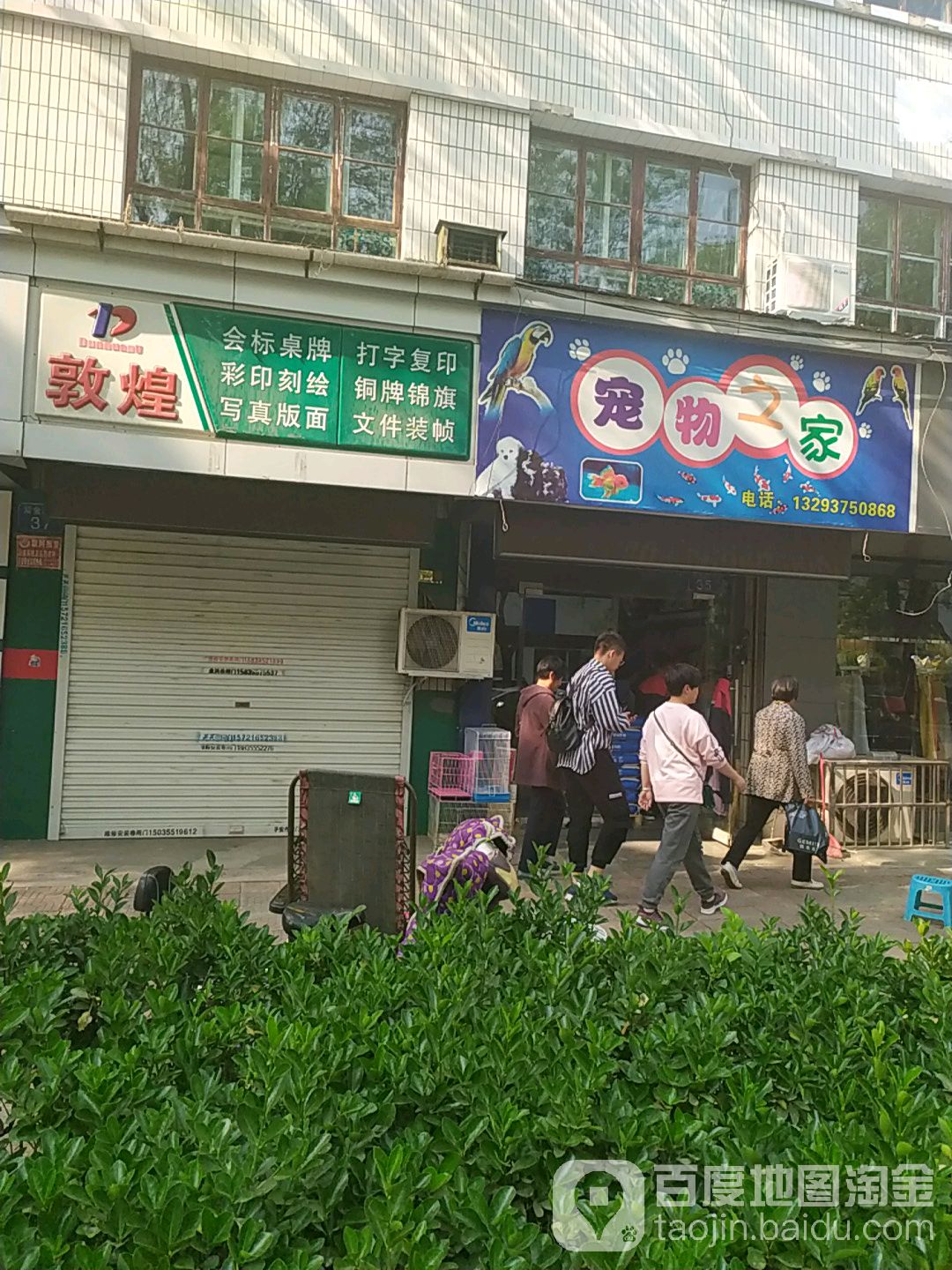 宠物之家(紫金西街店)