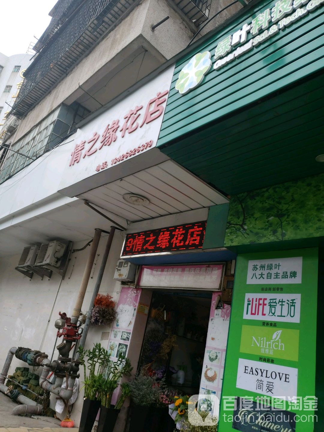 情之缘花店(台山店)