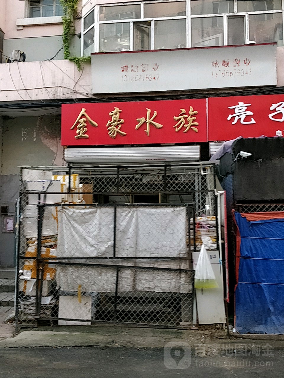 金豪水族批发