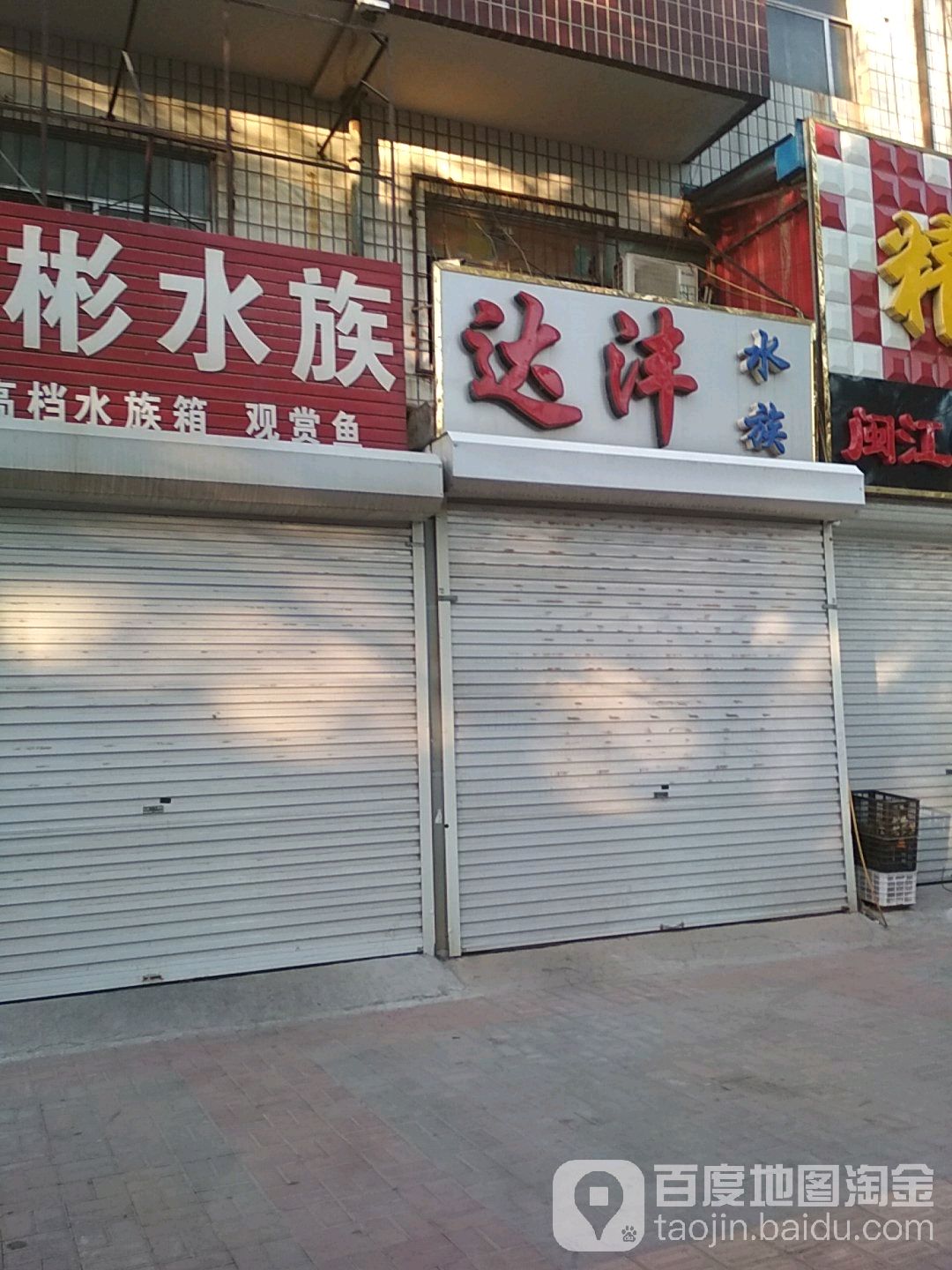 达丰水族
