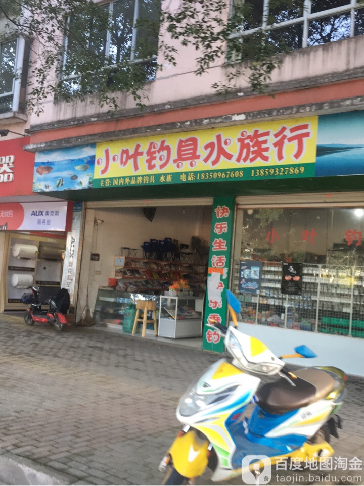 小叶钓店天