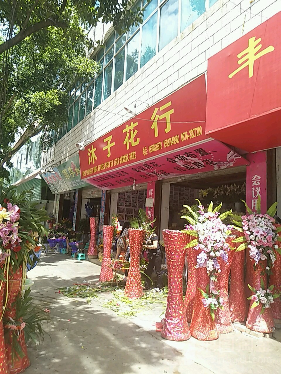文山小燕子花行