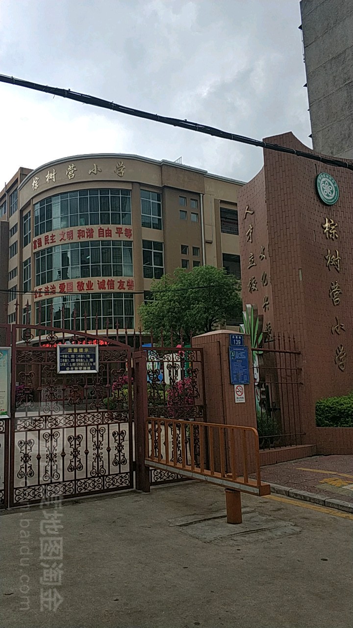 棕树营小学(丹霞路)