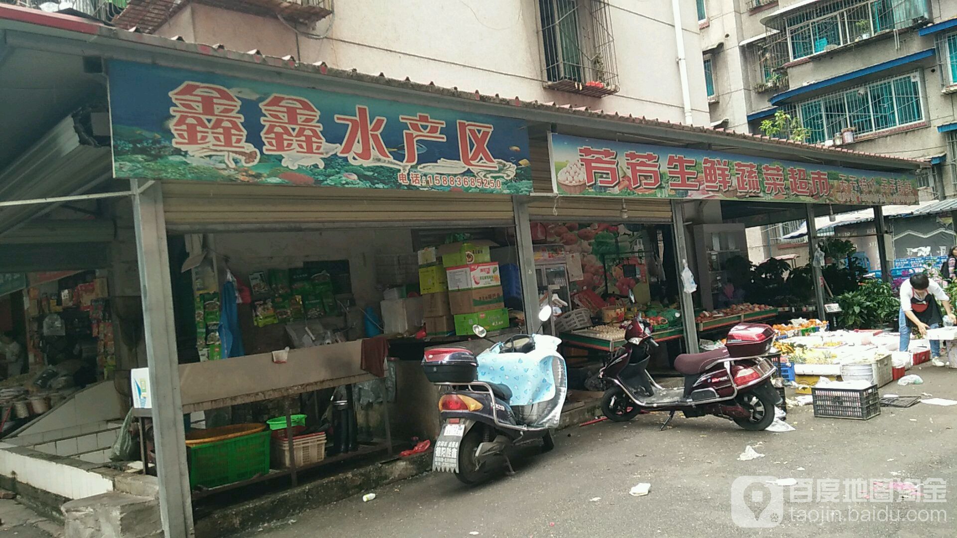 鑫鑫水产区