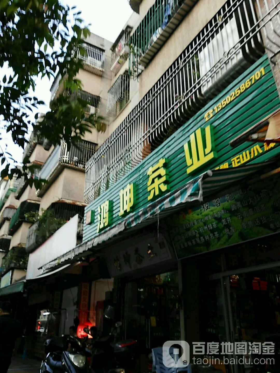 鸿坤茶业