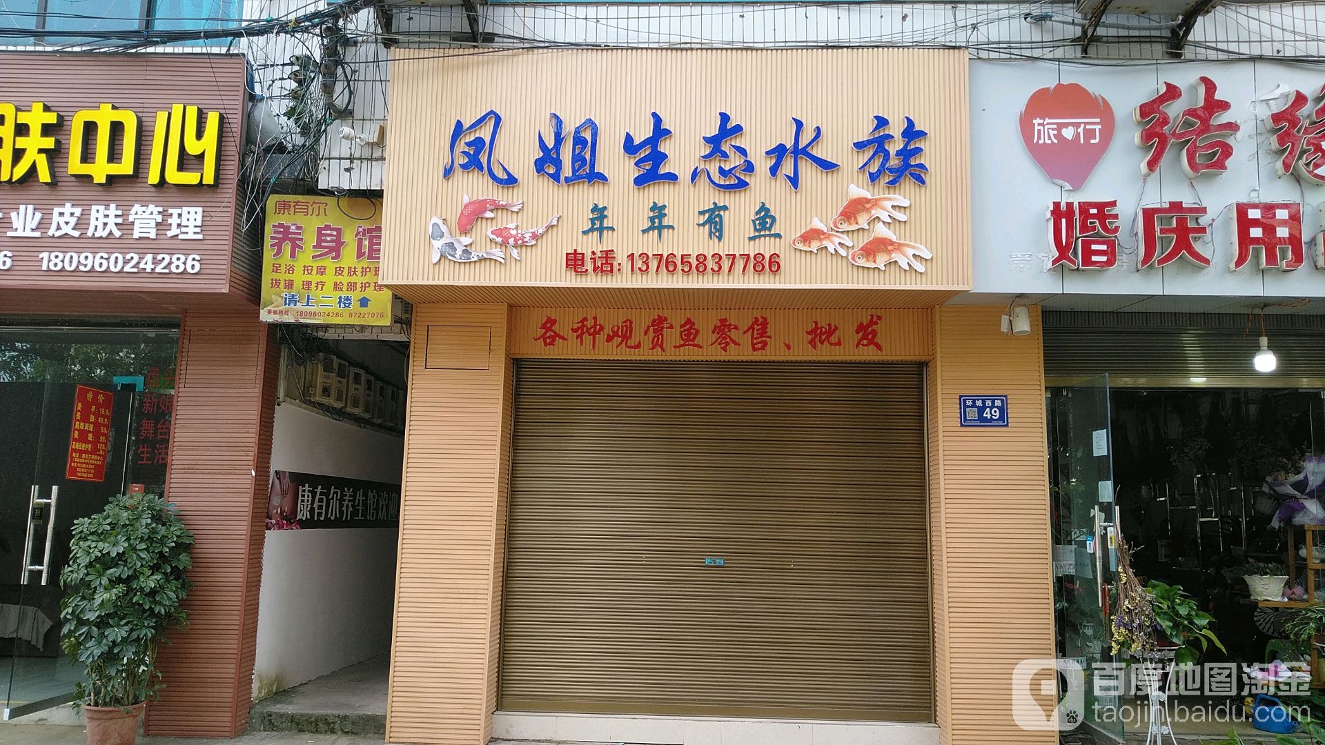 凤姐生态水族