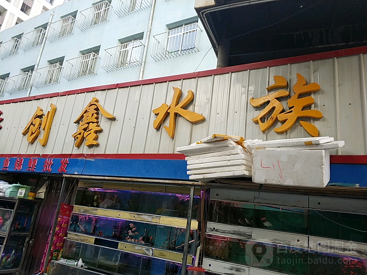 创鑫水族