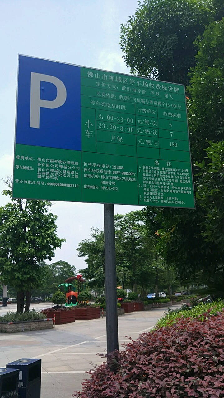 广东省佛山市禅城区石湾镇街道魁奇路东延线(依云上城)