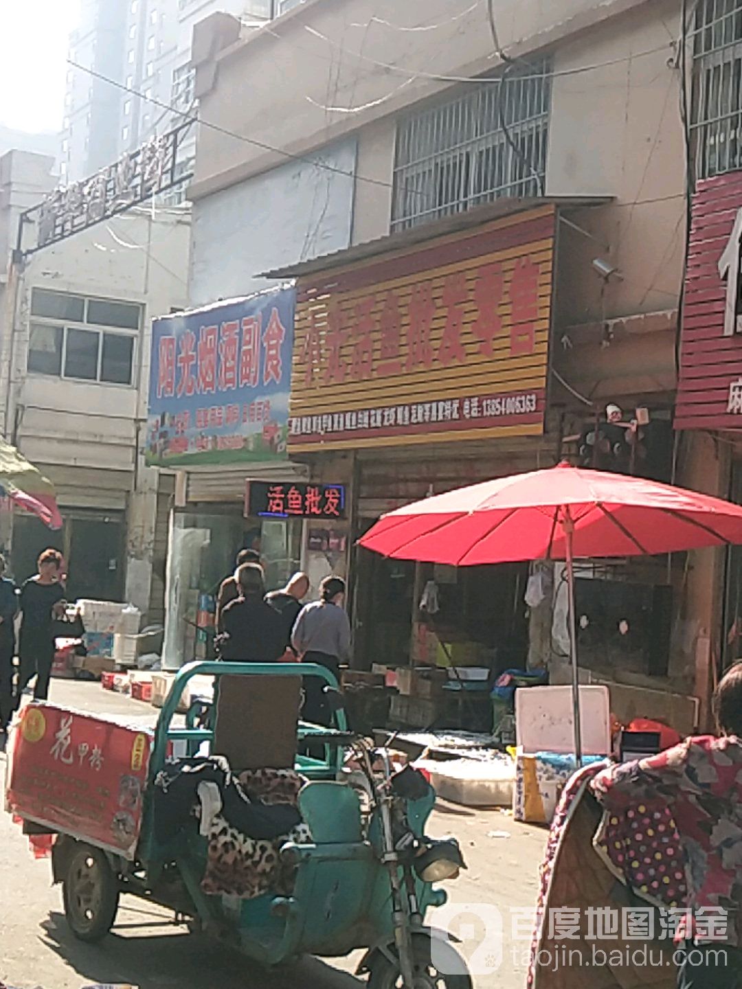 伟琪俊小光活鱼批发零售