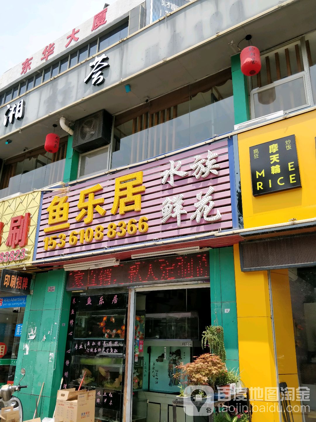 鱼乐居水族馆(东华大厦店)