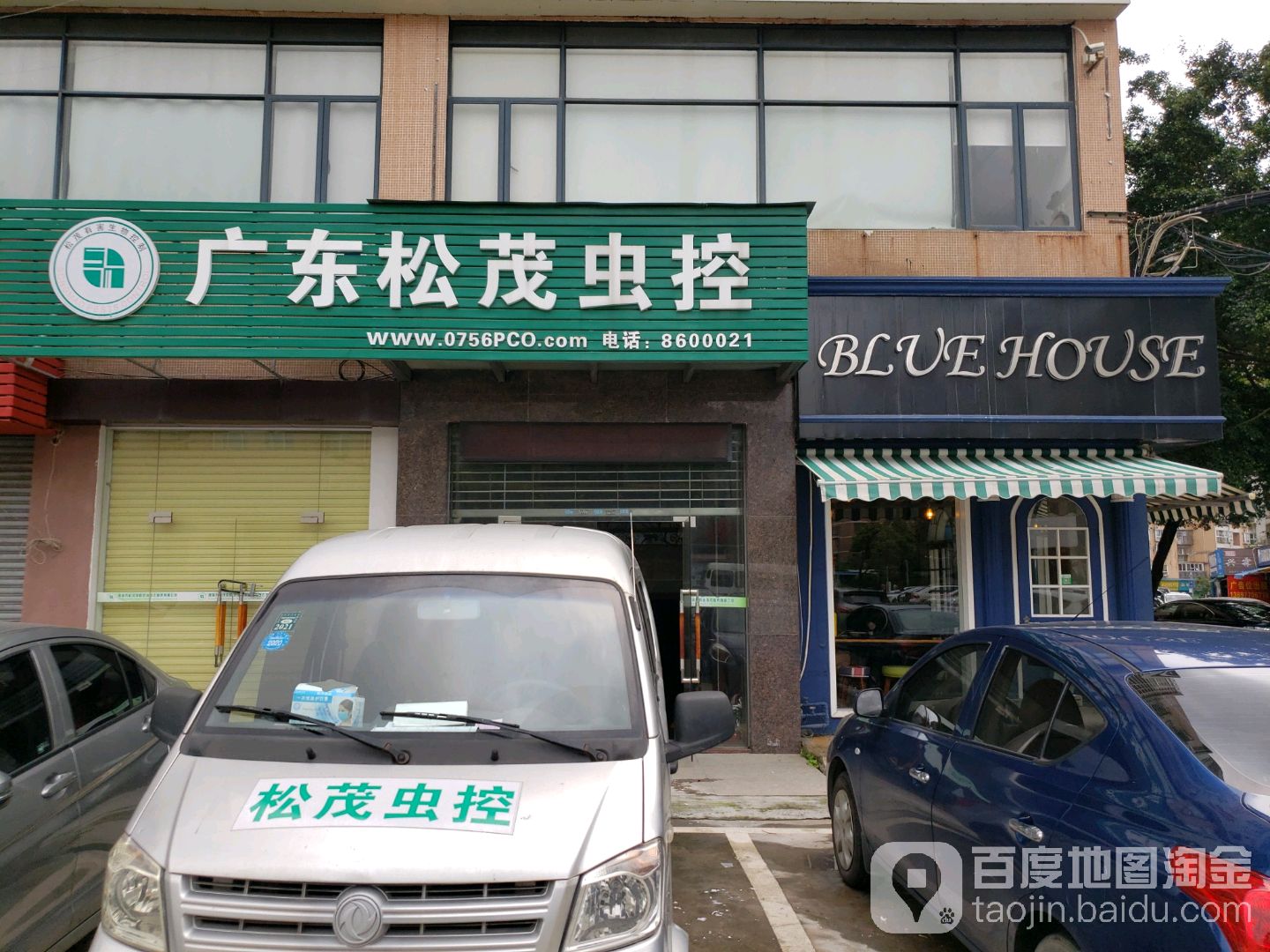 松茂虫蚁防治