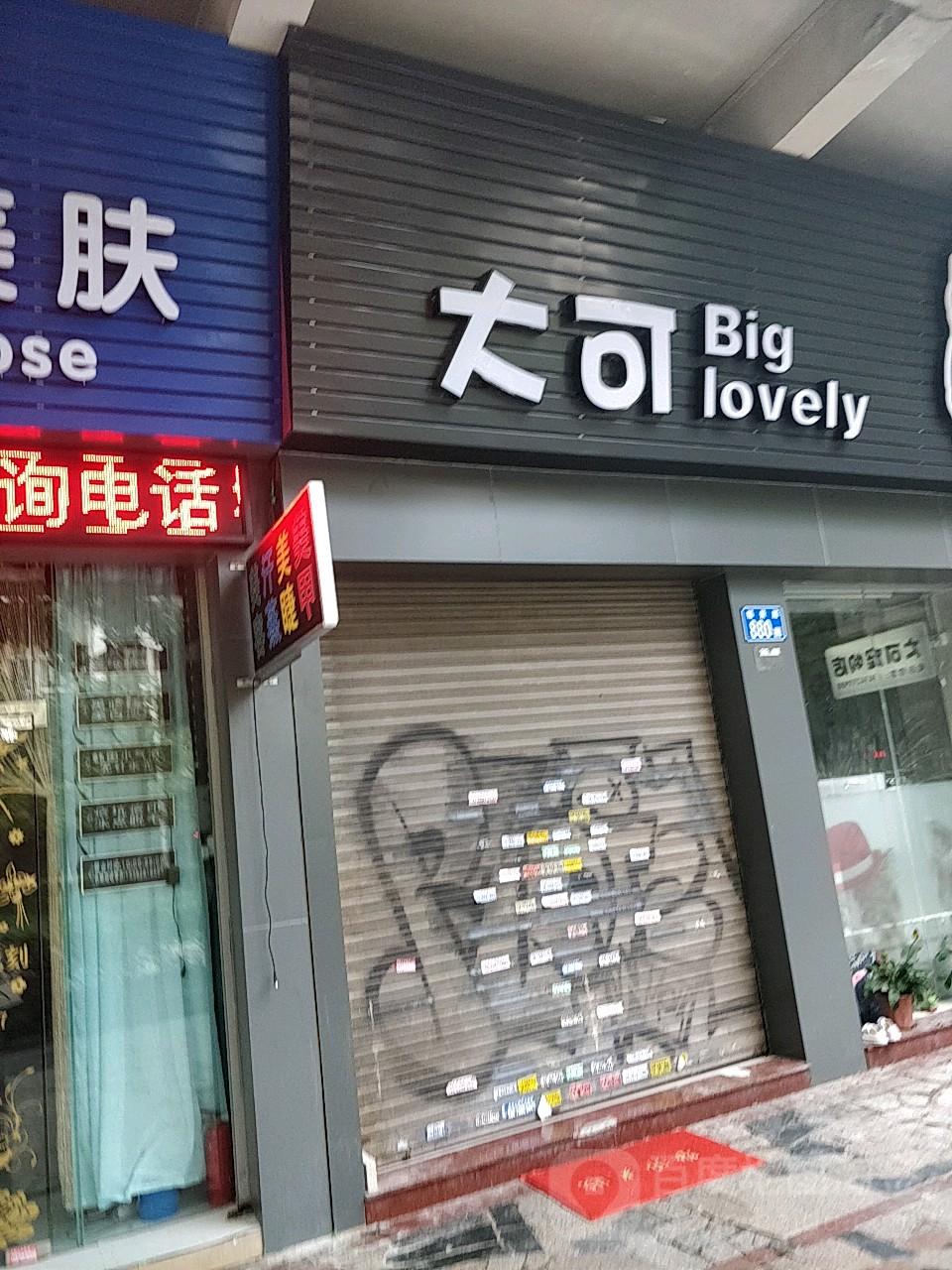 大可宠物店