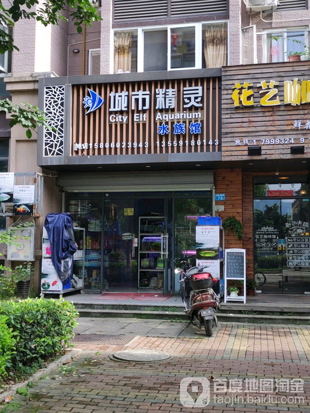 城市精灵水族管(新城丽景店)