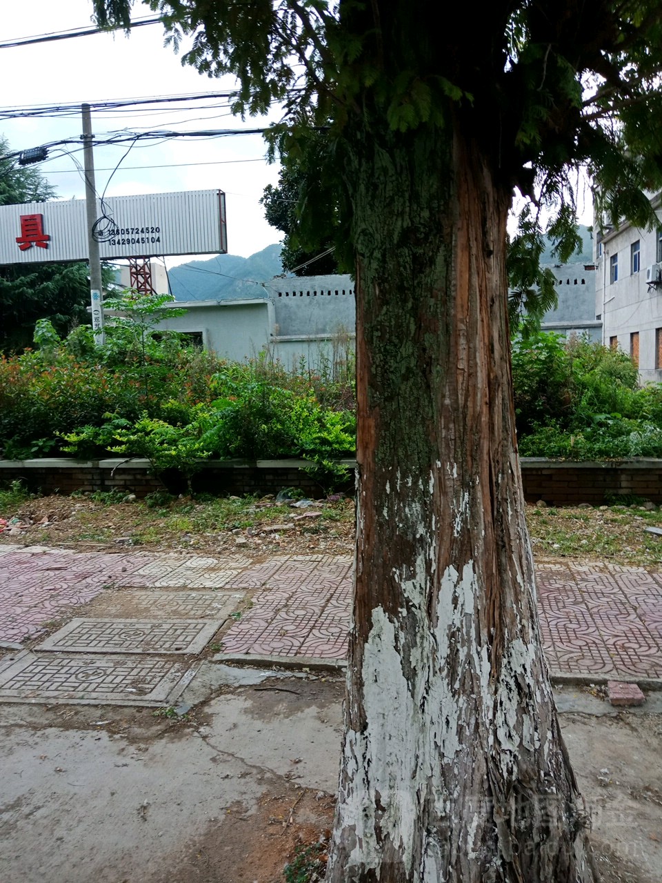 锋锐刀具