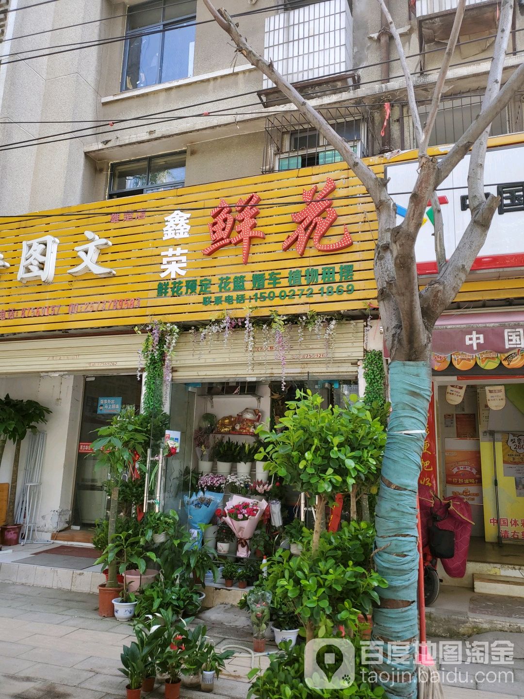 博雅广告图文(雄楚店)