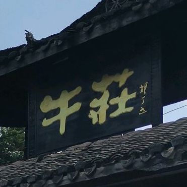 庄牛