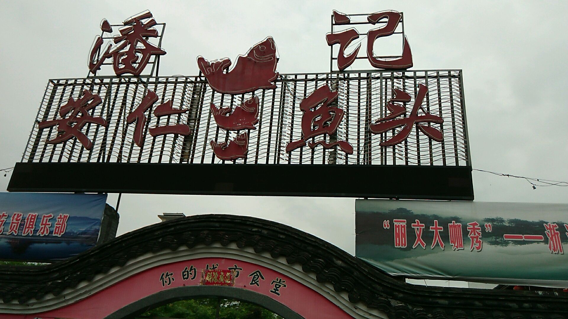 潘记安仁鱼头金