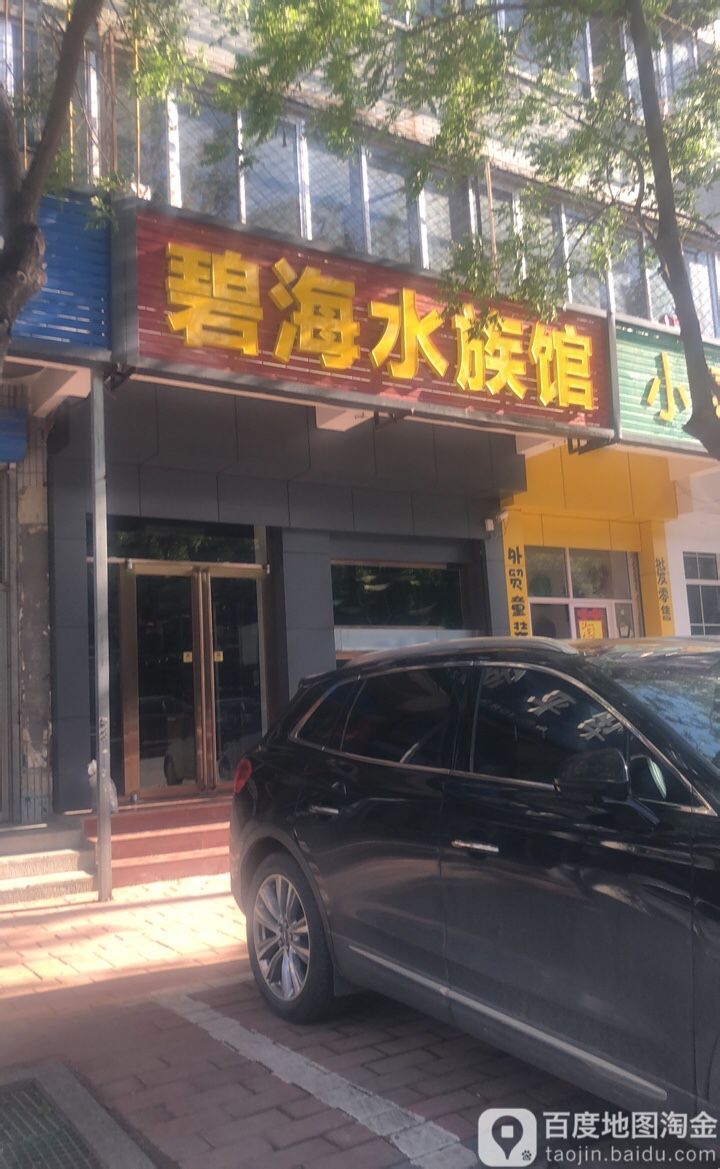 碧海水族馆(鼎盛西大街店)