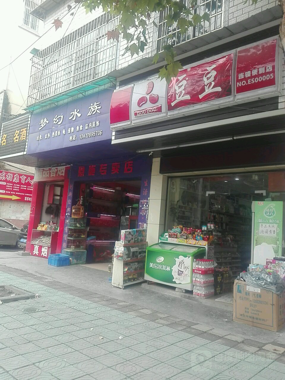 梦幻水族(恩施专卖店)