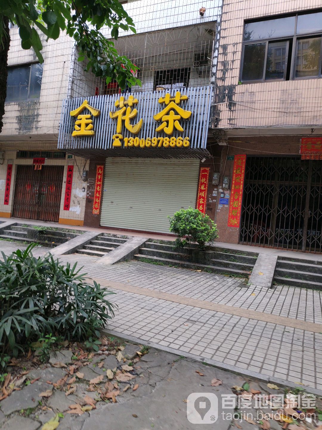 金花茶(南珠西大街店)