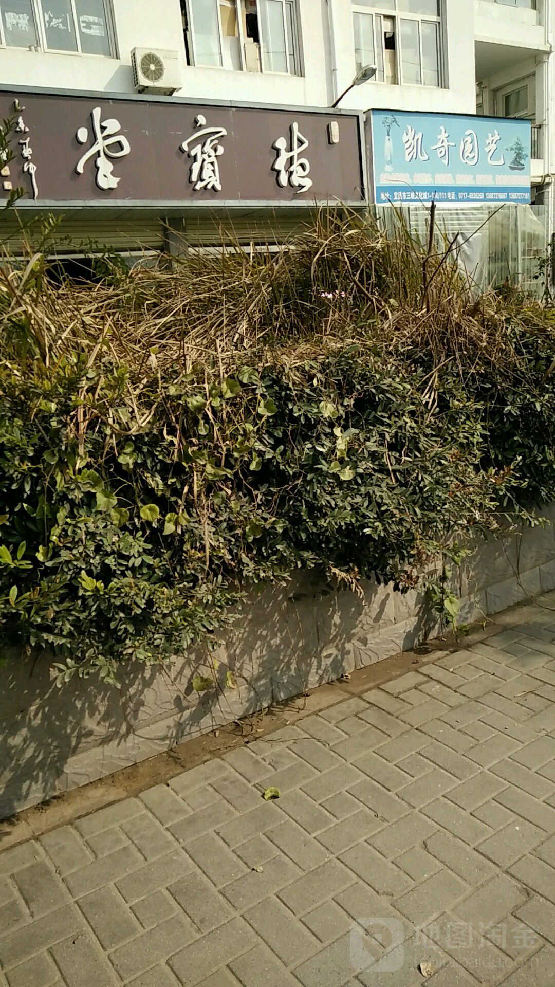 凯奇水景