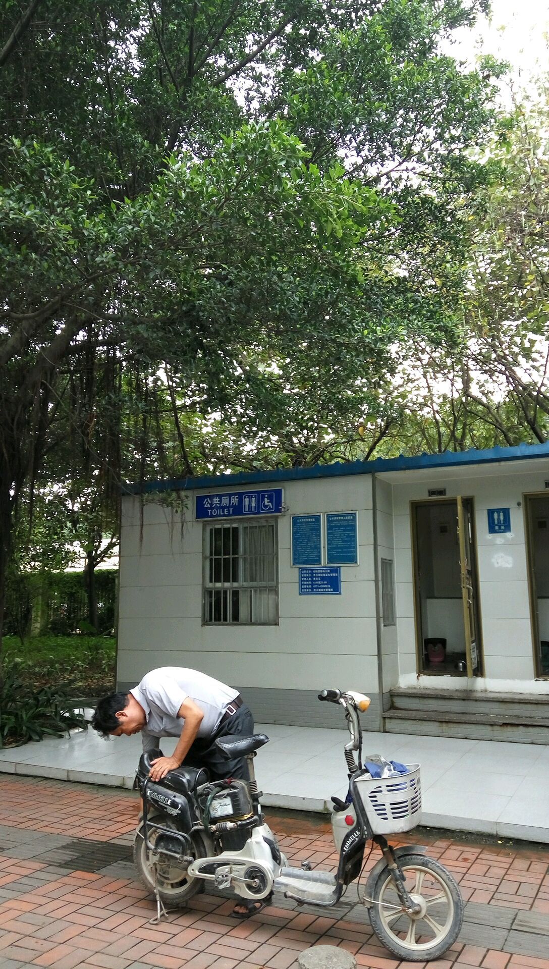 地址(位置,怎么去,怎么走):  南宁市西乡塘区大学东路156号附近