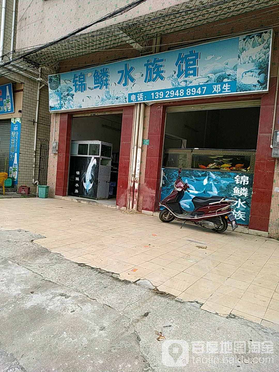 锦鳞水族馆