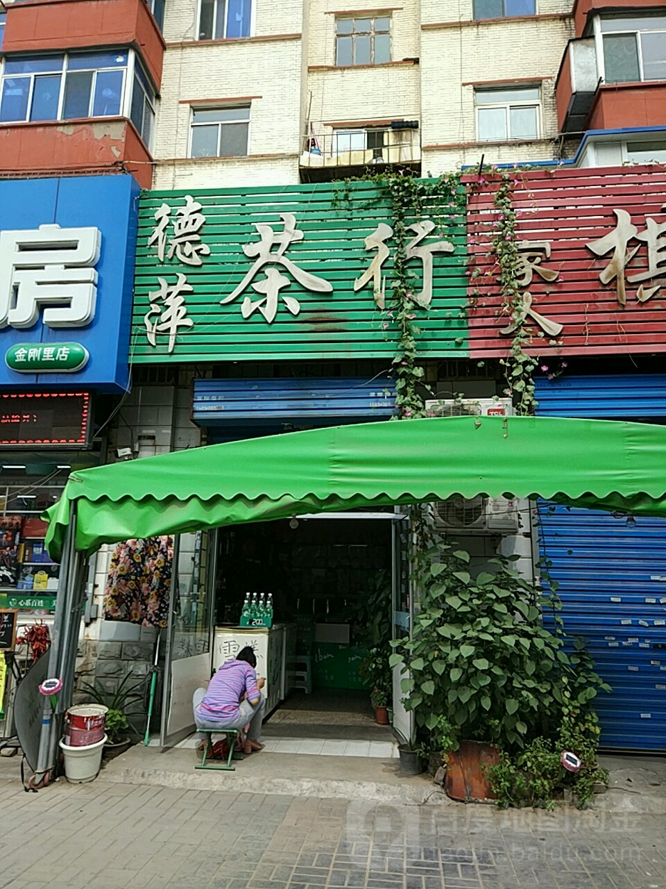 德萍茶行