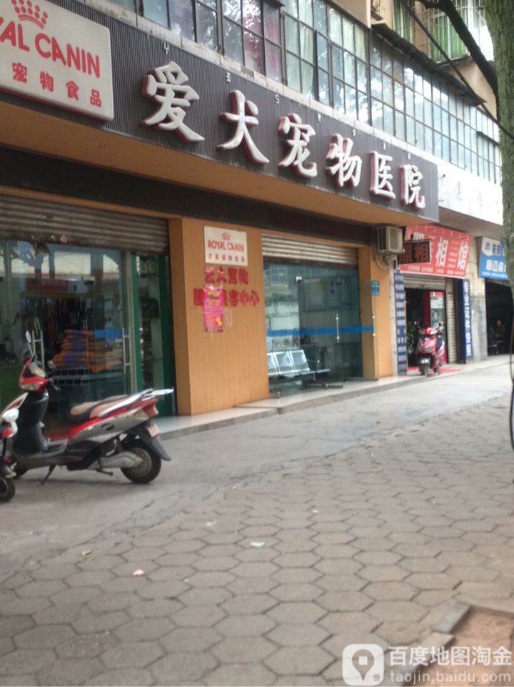 关爱动物医院(胜利东路店)