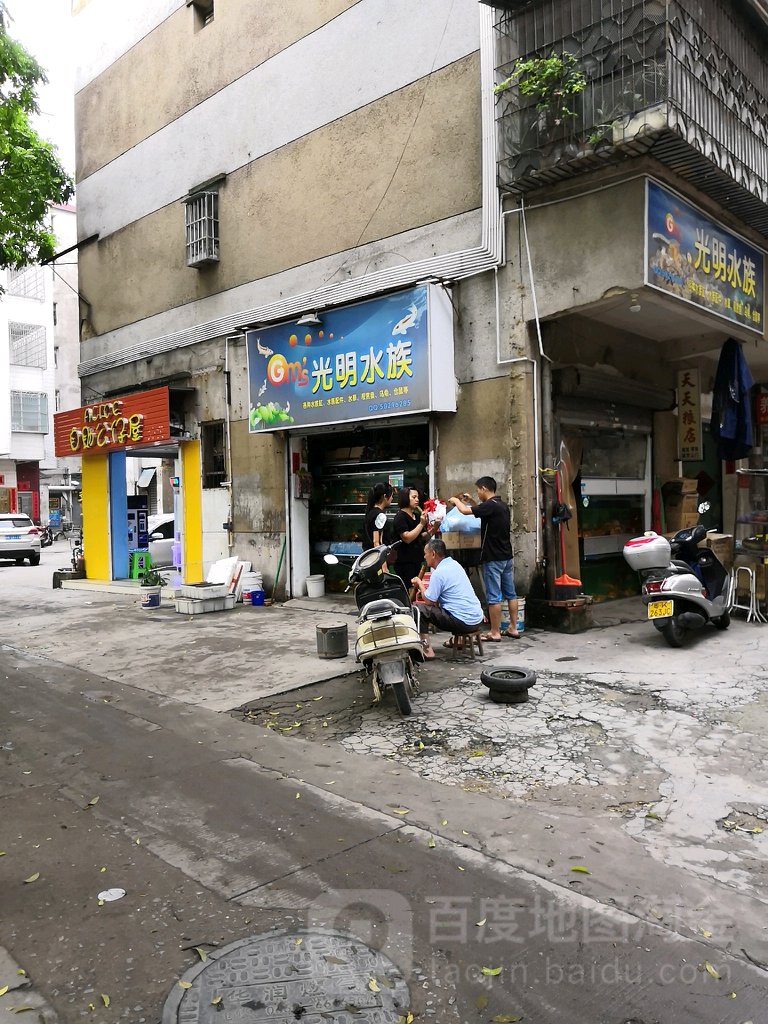 光明水族(光明路店)