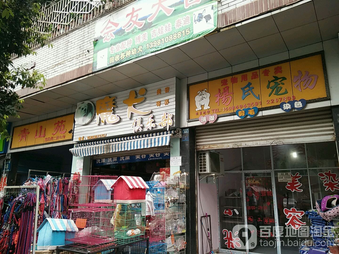 魔犬俱乐部(青山苑店)