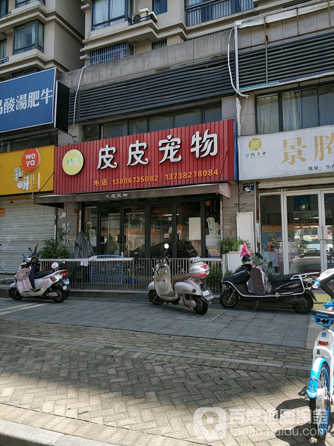 皮皮宠物(小西门横街店)